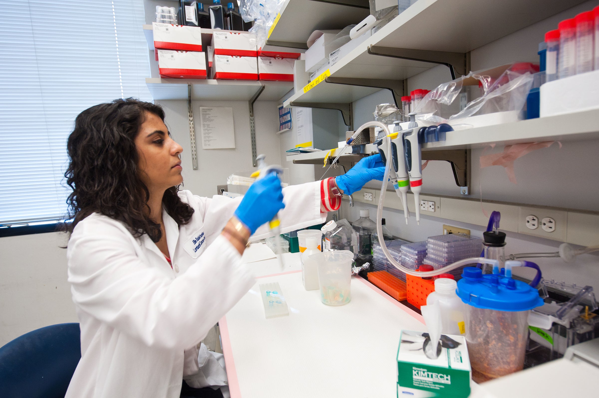 Curriculum Masters in Biochemistry and Molecular Biology