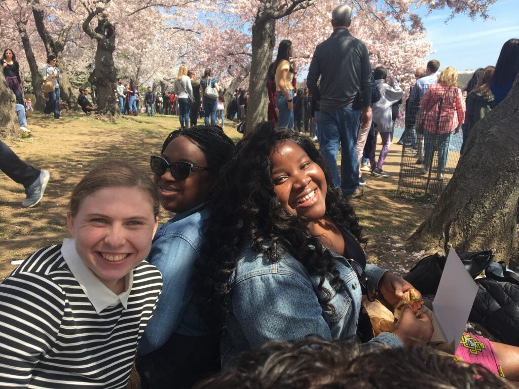 Attendees sit on the grass at the Cherry Blossom Picnic