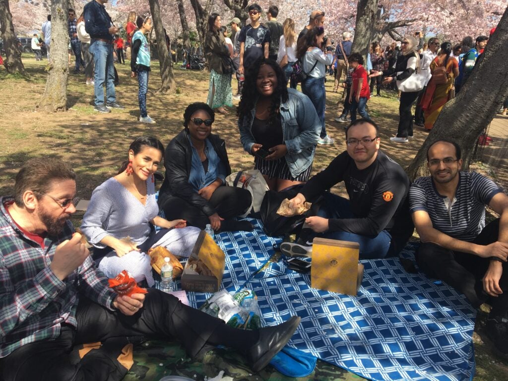 Attendees sit on the grass at the Cherry Blossom Picnic